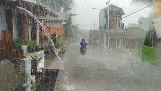 Super Heavy Rain and Strong Winds in My Village. Fell Asleep Instantly With the Sound of Heavy Rain