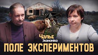 За следующую пятилетку точно всё исправим! | Чалый:Экономика