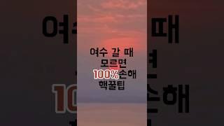 여행지 팩트체크_[여수편] #현지인추천여행지 #숨겨진명소 #여행꿀팁