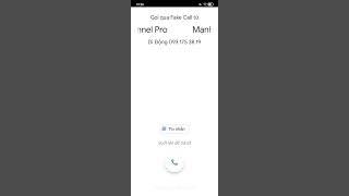 Xiaomi Redmi 9A Incoming call Fakes in Ringtone MIUI 8