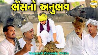 ભેંસનો અનુભવ//Gujarati Comedy Video//કોમેડી વિડીયો SB HINDUSTANI