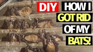 DIY - How I got rid of my bats!