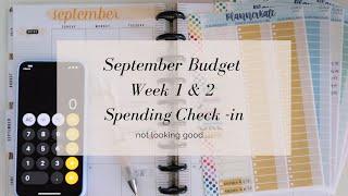 Weekly Spending Check-in  | Inconsistent Income | Budgeting for Beginners