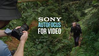 Best AUTOFOCUS Settings for Sony A7IV, A7sIII, FX3, A7III, FX30, A6600, A7c Camera - CINEMATIC VIDEO