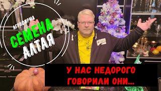 Семена Алтая. Недорого? Правда?