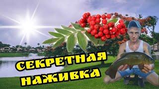 На что клюёт линь в жару