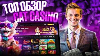 Cat казино обзор | лучшие слоты Cat Casino | Как зарегистрироваться и начать играть сайт Cat