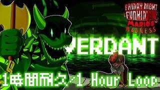 Verdant 1時間耐久 / 1 Hour Loop(FNF Mario's Madness UST)