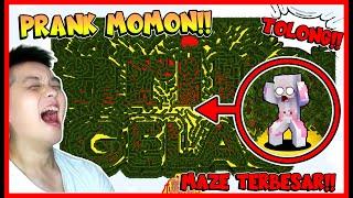 ATUN BANGUN MAZE TERBESAR & PRANK MOMON !! Feat @sapipurba Minecraft