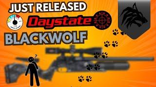 JUST RELEASED Daystate BLACKWOLF Fully Reviewed