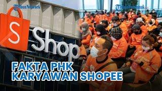  Fakta PHK Karyawan Shopee, Penyebab PHK, Jumlah Karyawan, hingga Pesangon