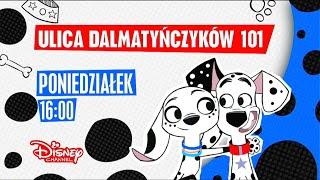 Disney Channel Poland - Continuity + Screenbug Error (March 18th, 2019)