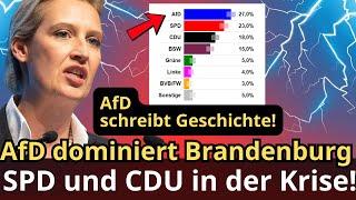 Eilmeldung! AfD dominiert Brandenburg – SPD und CDU in der Krise!