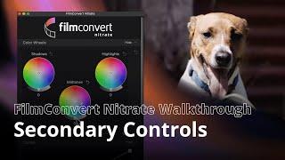 FilmConvert Nitrate Walkthrough | Secondary Controls