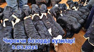 Чирокчи куй бозори нархлари 5.03.2025