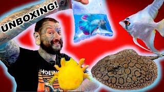 Unboxing Spectacular Tropical Fish, Axolotls and Exciting New Products!