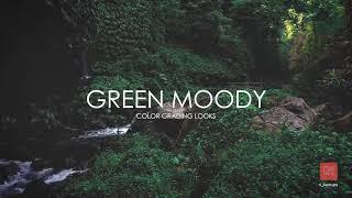 Green Dark Moody Presets Ri -  Adobe premiere pro color grading presets