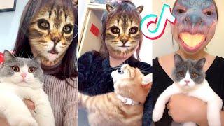 Pets hilarious reaction on TikTok filter | Funny Cat Videos 2020