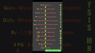 MNEMONIC FOR GLYCOLYSIS️