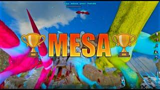 MESA Ark | First Week On ASE