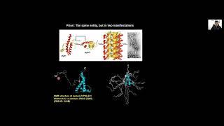 The Role of Intrinsic Disorder in Liquid-Liquid Phase Separation - Samrat Mukhopadhyay