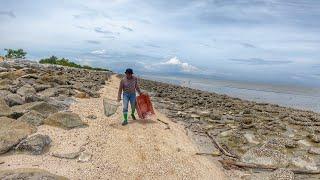 Cari Kerang Bulu!!