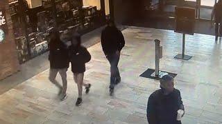 Delaware State Police Release Video of Teens Wanted in Mall Shooting