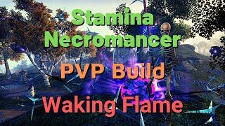 Stamina Necromancer ESO PVP Build - Waking Flame