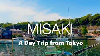 How to eat TUNA with Misaki Maguro Day Trip Ticket - Itinerary from Tokyo