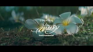 ลั่นทม (Plumeria) - COCKTAIL | Instrumental | I Feel You Linger In the Air