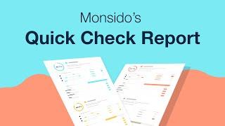 Monsido's Quick Check Report