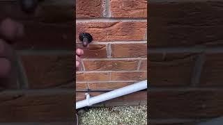 How to fix flame loss fault on your boiler! || Blocked condensate pipe