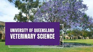 University of Queensland: UQ's AVMA-accredited Bachelor of Veterinary Science