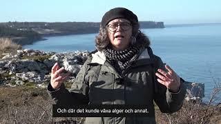 Gotlands berggrund, del 1: När Gotland låg i Söderhavet