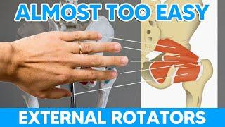 The Deep External Rotators of the Hip Made Easy