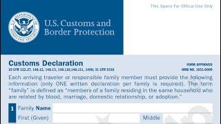 US Customs and Border Protection Form - Details