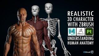 Create a Realistic 3D Character with Zbrush and Substance 3D Painter | Understanding Human Anatomy