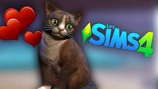 JE VOUS PRÉSENTE MON CHAT D'AMOUR | Sims 4 #5