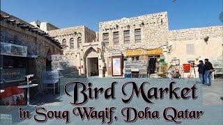 Bird Market in Souq Waqif, Doha Qatar