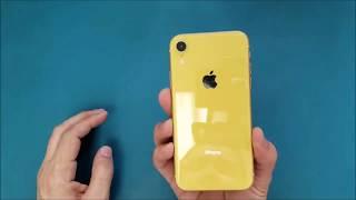 How to replace the screen on iPhone XR step by step for beginners