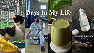 productive days in my life | WEEKEND VLOG | workout with me ~ apartment hunt ~ kitten time