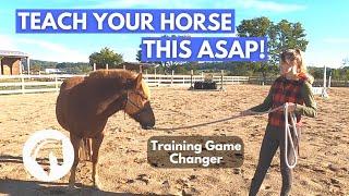 Groundwork For Horses: The Very First Thing I Teach