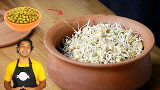 Sprout Mung Beans at Home EASILY  No Equipment Quick Guide  Sprout Health Benefits