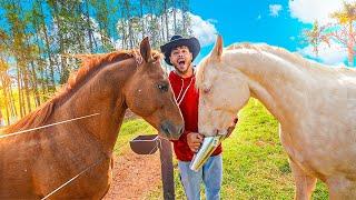 VOU DAR UM CAVALO PARA MINHA IRMAZINHA LINDA