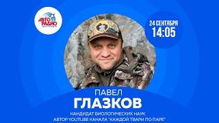 Кандидат биологических наук Павел Глазков на Авторадио