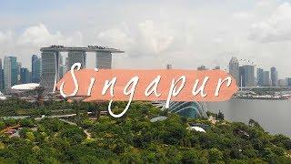 Two Days in Singapore • Singapore • World Travel Vlog 27 (German)