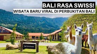 Kumpulan Objek Wisata yang Wajib Dikunjungi di Bedugul Bali