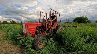 ЧП на картофельном поле! Спасаем урожай! Трактор Т-25А с окучником творит чудеса!