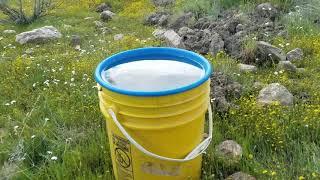 Kern river gold prospecting March 2019