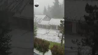 The largest hailstorm you can see in the town of Sint Blasen in #Germany ️️-2021s